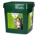 Garlic Allicin Powder EU (Knoblauchpulver) Eimer