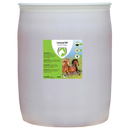Linseed Oil 200 ltr (Leinsamenöl)