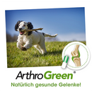 ArthroGreen plus 100 Kapseln