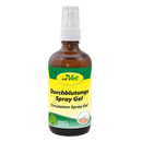 Durchblutungs Spray Gel 100 ml