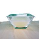 EquiGreen Purisan 1 Liter