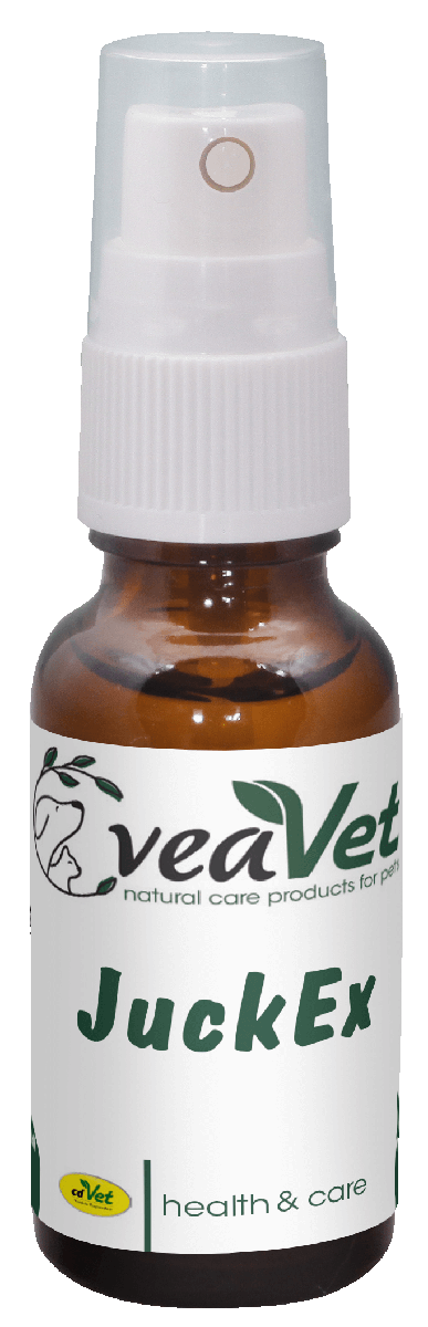 VeaVet WundEx Spray 500ml – Natürliche Wundpflege Für Hunde & Katzen