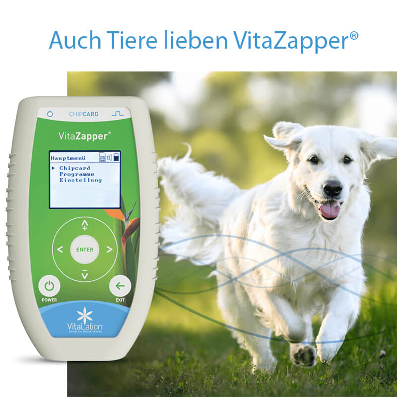 VitaZapper® - Professional (Bioresonanzgerät & Zapper) + Handelektroden & Adapter