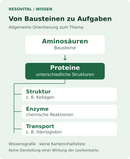 Allgemeines Wissen: Aminosäuren bilden Proteine. Proteine können unter anderem Struktur-, Enzym- und Transportaufgaben übernehmen.