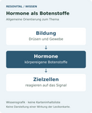 Vereinfachtes biologisches Schema: Drüsen und Gewebe bilden Hormone. Diese Botenstoffe vermitteln Signale an passende Zielzellen.