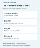 Allgemeine Übersicht über vier Zahngewebe: Zahnschmelz, Dentin, Pulpa und Zement. Die Darstellung ist keine Eintragsliste der Karte.