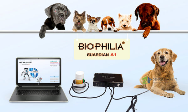 Biophilia Guardian A1 NLS Bioresonanz System für Hunde