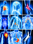 Bio-Quantum Analyzer DM-918-C mit neuer Software Version 2024 plus (Cloud, Autark)