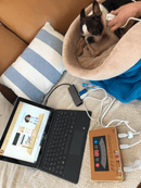 PET-SCANNER - Bioresonanz- , Quantenresonanz Tierscan für Hunde und Katzen