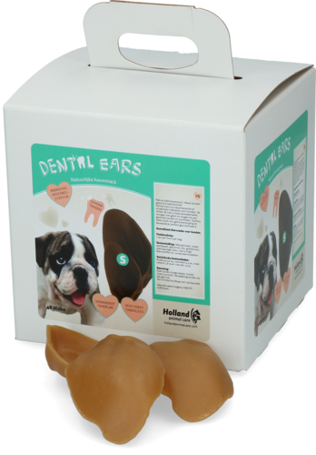 Dental Ears Small