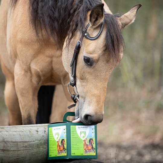 Equi Prebiotica