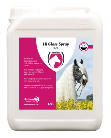 Hi Gloss Spray
