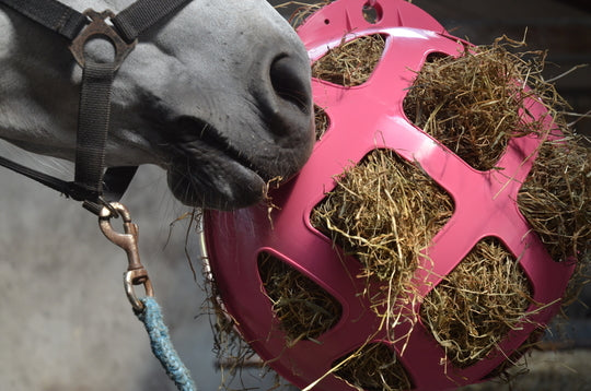 Hay Slowfeeder grau 40 cm Kunststoff