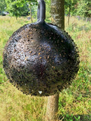 Horse Fly Trap Ball