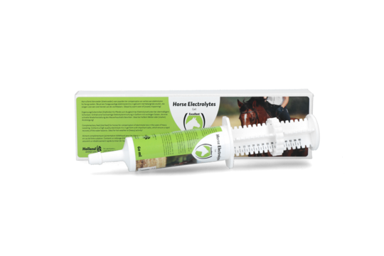 Horse Electrolytes Gel Injector