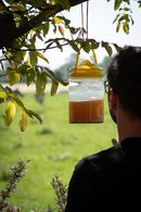 Knock Off FlyNip FliegenFalle