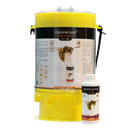 Knock Off Wespenfalle XL