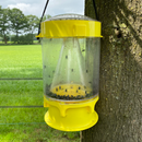 Knock Off Vliegenval XL