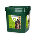 Garlic Allicin Granulate EU (Knoblauch Granulat) Eimer