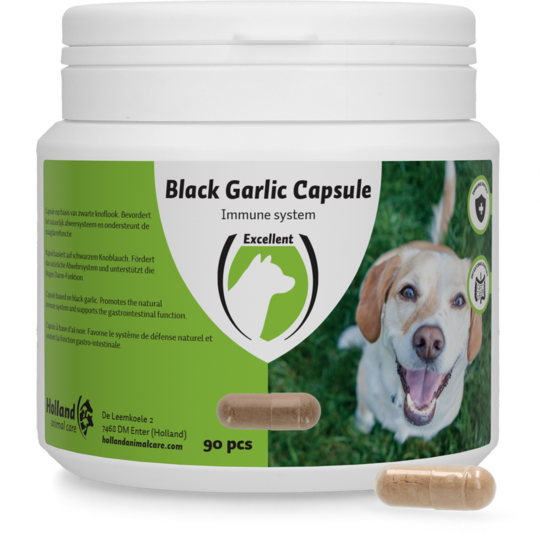 Black Garlic Kapsel Hund