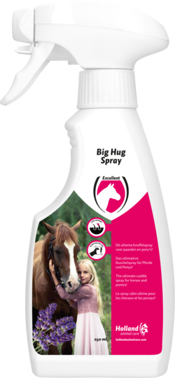 Big Hug Spray 250 ml