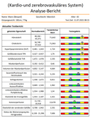 Quanten Resonanz Magnetic Analyzer DM-917, Software Version 2024 plus (Cloud, Autark)