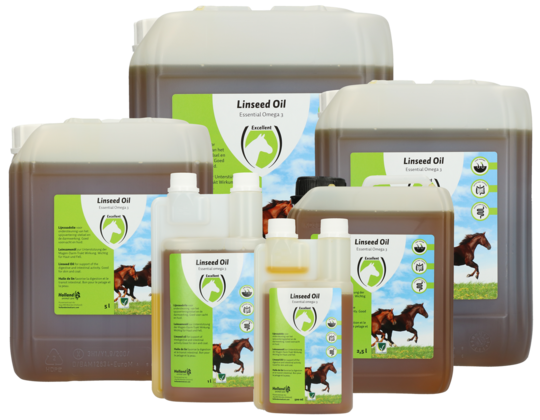 Linseed Oil (Leinsamenöl)