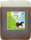 Linseed Oil (Leinsamenöl)