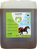 Linseed Oil (Leinsamenöl)