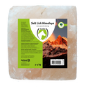 Salt Lick Himalaya (Leckstein) (GMP+)