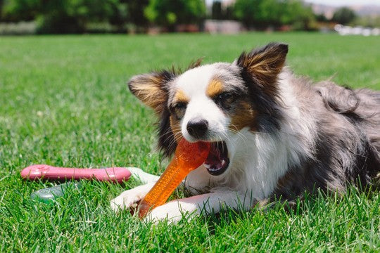 Pet Qwerks Flavorit Flex Erdnuss Butter Bone  L 18 cm