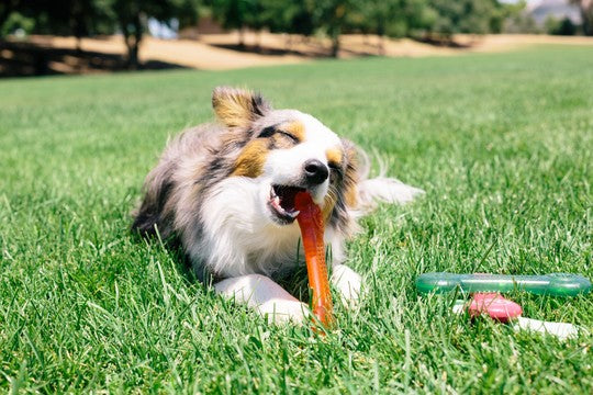 Pet Qwerks Flavorit Flex Erdnuss Butter Bone  L 18 cm