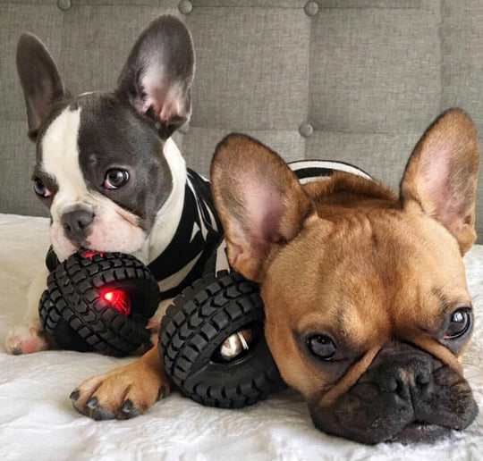 Pet Qwerks Jingle X-Tire Ball Medium ø 12 cm