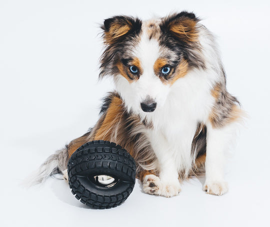 Pet Qwerks Jingle X-Tire Ball Medium ø 12 cm