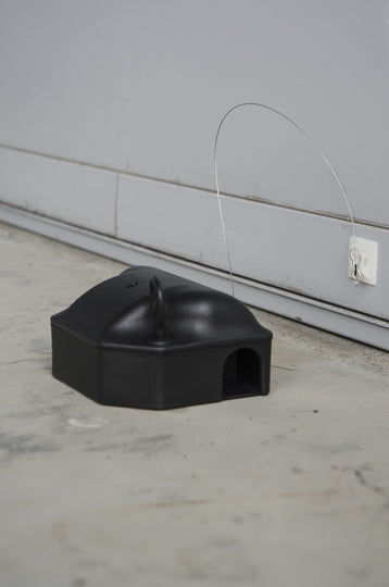 Klebe-Anker, doppelseitig für Köderbox, 25cm + Haken