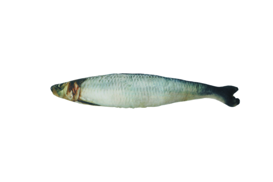 Totally Hooked Herring M 30cm