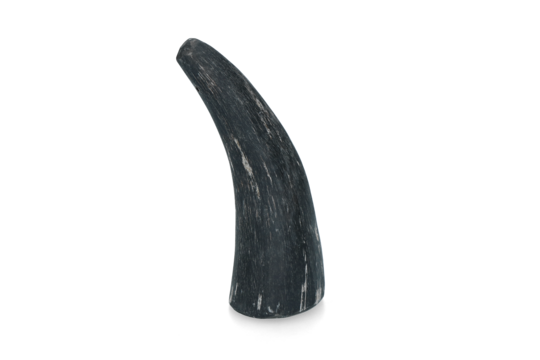Viking whole Horn S