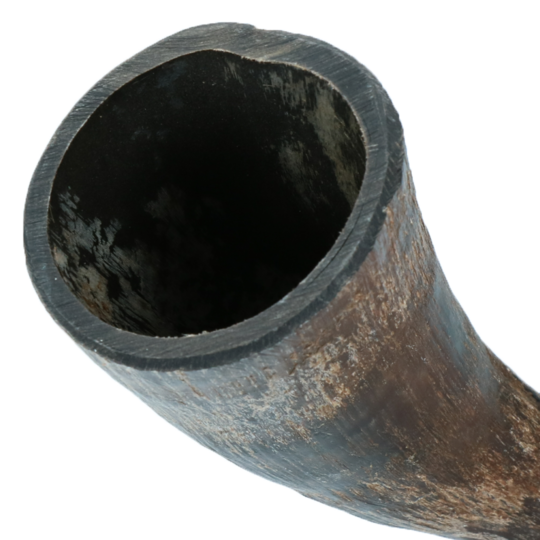 Viking whole Horn L