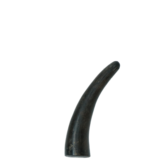 Viking whole Horn solid L