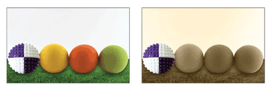 VisionSmart Visi-Ball weiss/lila