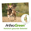 ArthroGreen Classic 70g