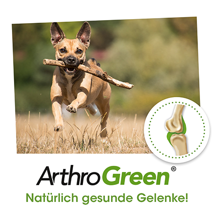 ArthroGreen Classic 2kg