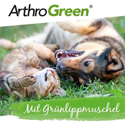 ArthroGreen Classic 700g