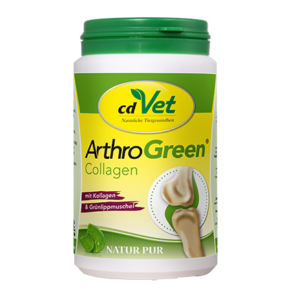 ArthroGreen Collagen 600g