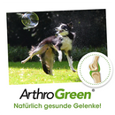 ArthroGreen Collagen 2kg