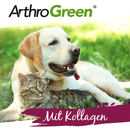 ArthroGreen Collagen 600g