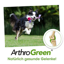 ArthroGreen Gelenkfit 70 g