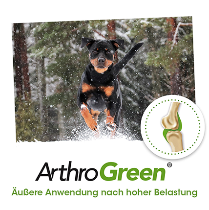 ArthroGreen Gelenkfluid Hund 100ml