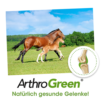 ArthroGreen Horse 700g