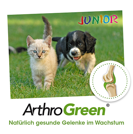 ArthroGreen Junior 25g